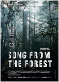 Song From The Forest