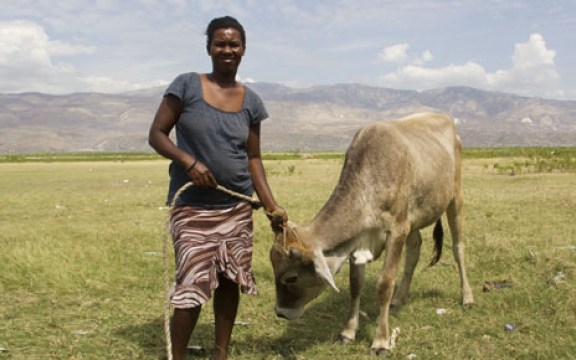 Na de aardbeving van 2010 heeft Oxfam-Solidariteit onder meer het project ‘Lèt Agogo’ van de lokale organisatie Veterimed gesteund. Hélène Paul is een van de boerinnen die zo haar gezinsinkomen weet te verbeteren