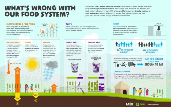 Wat loopt er verkeerd met onze voedselproductie?