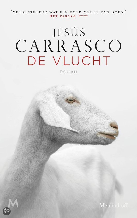 Jesus Carrasco "De vlucht"