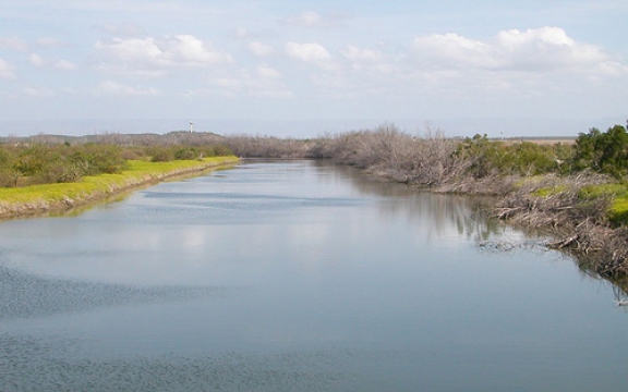 De baai van Guantánamo is een prachtig stukje natuur. Er schuilt echter wat venijn in het struikgewas