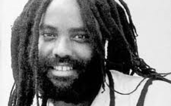 Mumia Abu-Jamal, 30 jaar onrecht