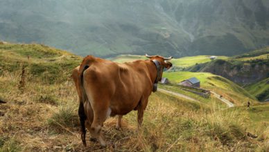 De Franse Alpen