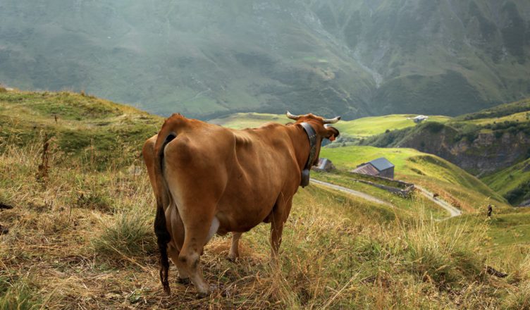 De Franse Alpen