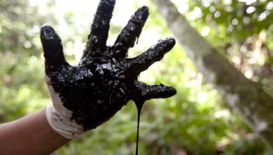 Ruwe olie uit één van de honderden verlaten putten van Chevron (voorheen Texaco), in het Ecuadoraanse regenwoud.