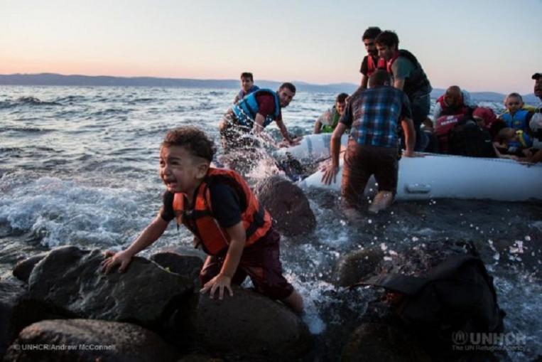 unhcr vluchtelingen