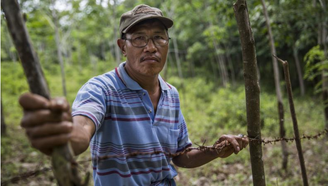 Een landbouwer in het dorpje Lunjuk in Indonesië moest in 2016 prikkeldraad rond zijn akkers zetten, nadat een groot bedrijf zonder zijn toestemming al zijn akkers had omgeploegd voor Wilmar, de grootste agromultinational van Azië