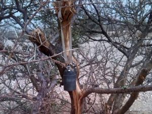 Een niet ontplofte M77-clusterbom blijft hangen aan zijn stoffen band na de aanval van 7 juli 2015 op het dorpje Malus in het noorden van Jemen 