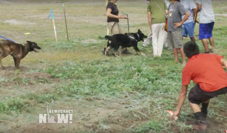Privé-bewakers zonder enige politiebevoegdheid vielen Dakota-activisten aan met hun honden