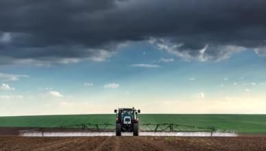 Een traktor sproeit glyfosaat over de velde