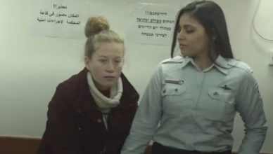 A screen shot of Ahed Tamimi after she was taken into custody by Israeli occupation forces