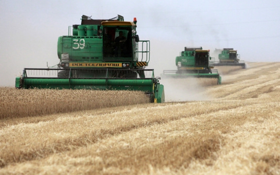 De uitgestrekte vlaktes in het westen van Oekraïne waren ooit de graanschuur van de Sovjet-Unie. Vandaag azen bedrijven als Monsanto erop